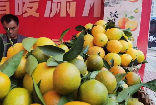 冷水灘 品味天然之味，開啟農產品“買買買”之旅