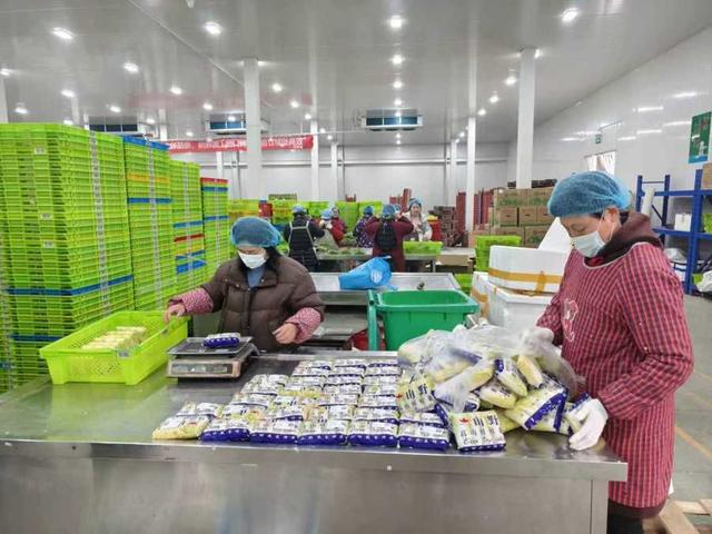 年味漸濃，果蔬禽畜開啟“春運”模式