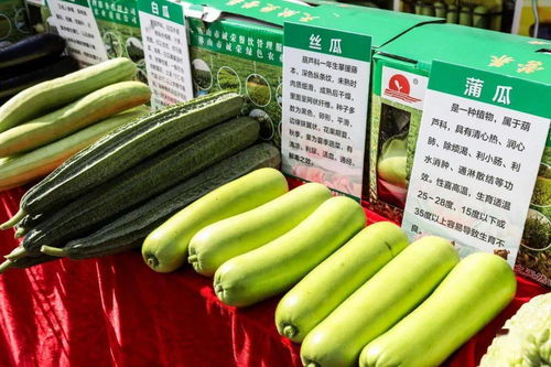 秋分時節慶豐收，佛山人的田園歡歌